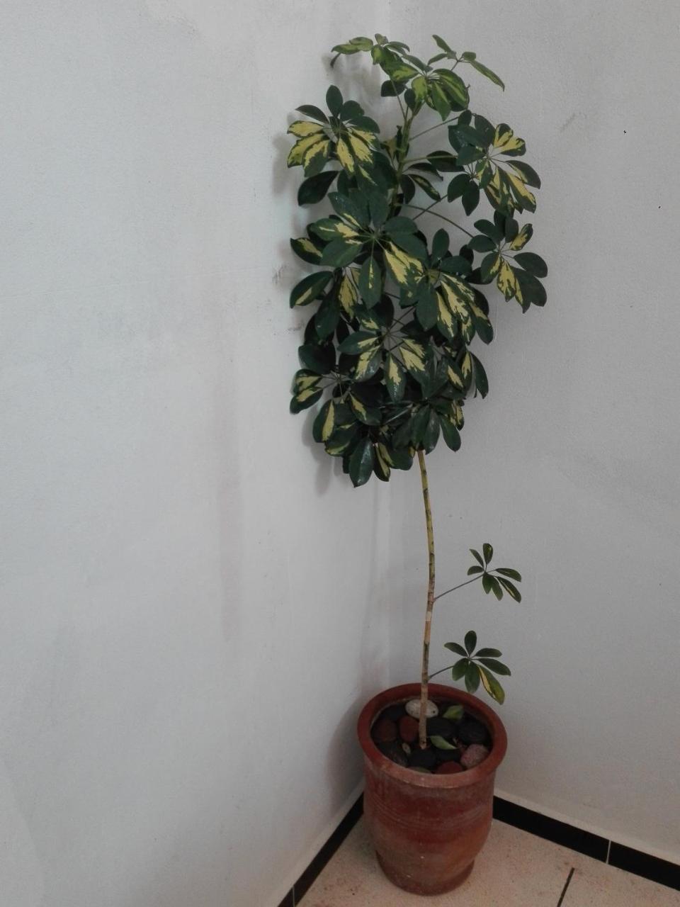 Asklou Appartement A Mirleft Luaran gambar